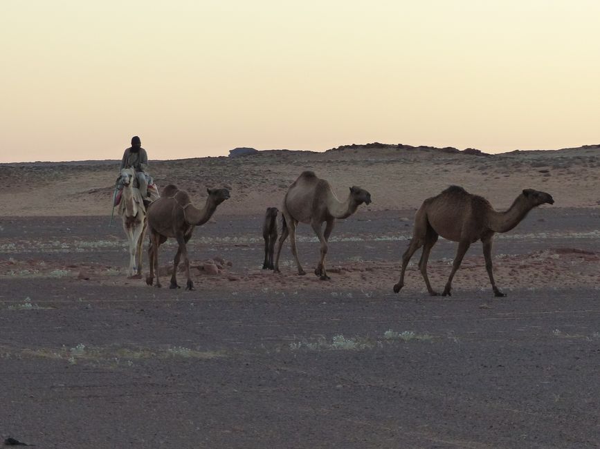 KSA Hishma Wüste