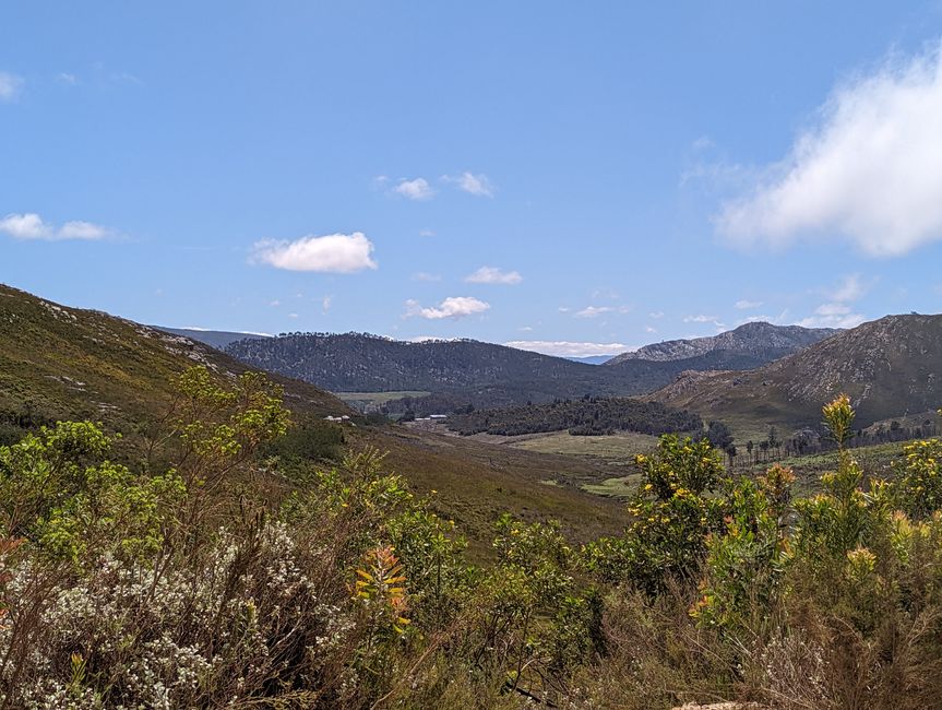 Knysna, Mossel Bay, Oudtshoorn