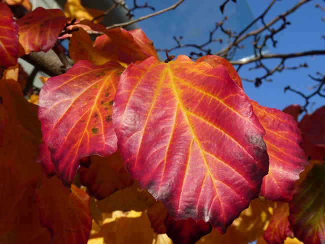 Was für Farben