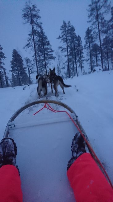 Lapland - Finland