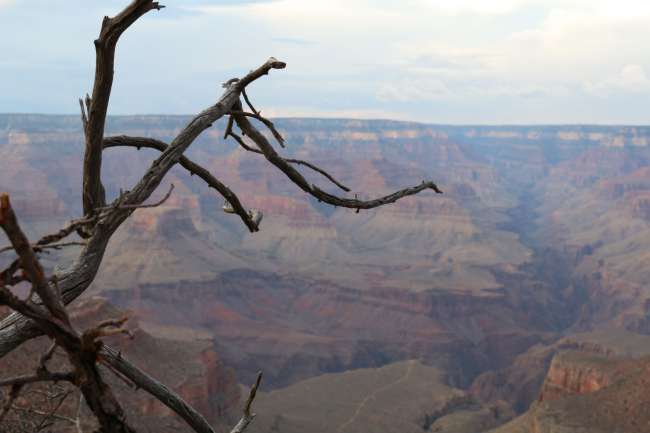 Day 4: The Grand Canyon
