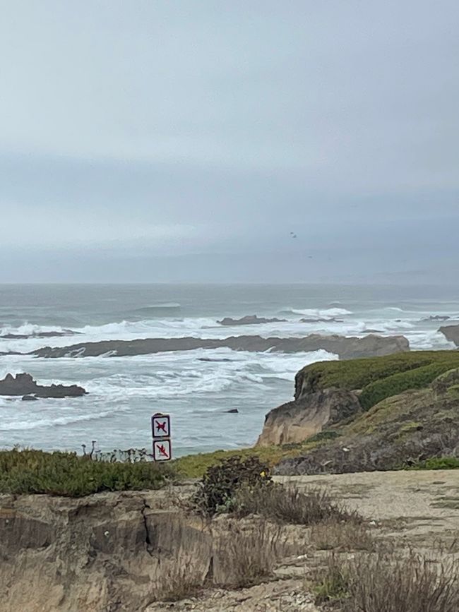 Nordkalifornien, Golden Gate und Santa Cruz
