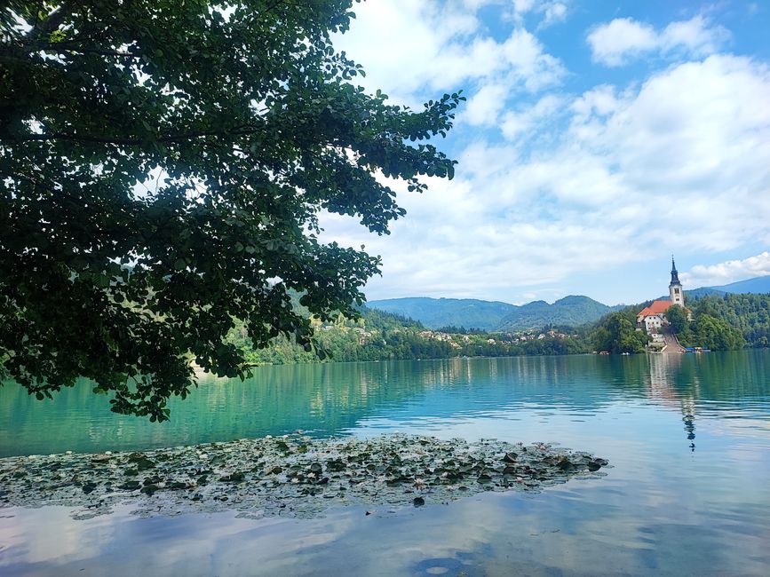 Lake Bled / Slovenia