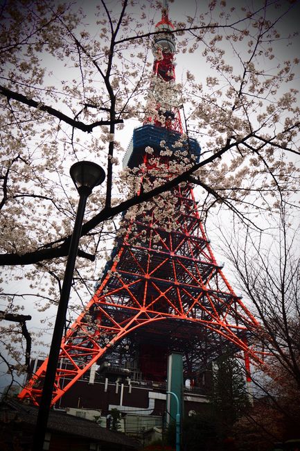 Tokyo Tower im Eiffelturm Stil