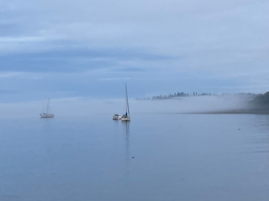 Foggy ships