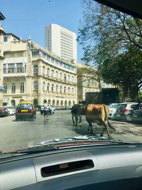 Welcome to Mumbai
