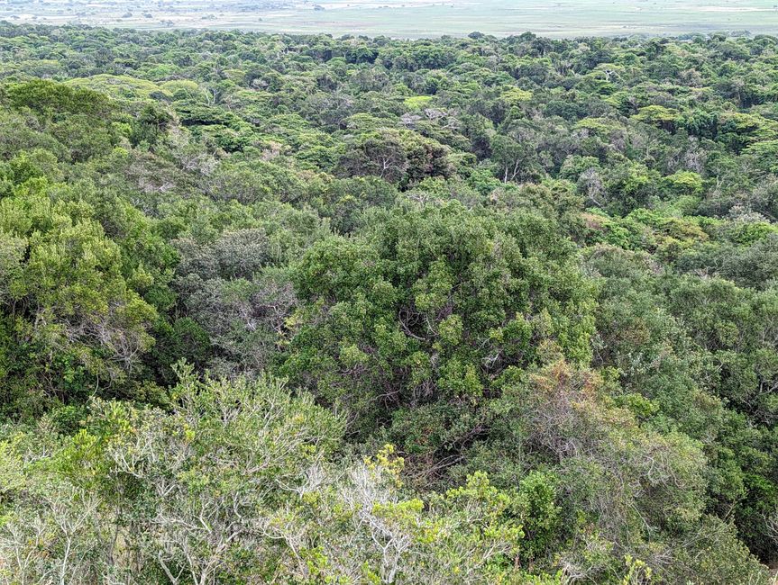 Parc marin d'iSimangaliso