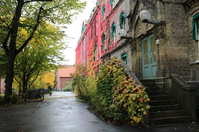 Herbstferien - Copenhagen & Sweden