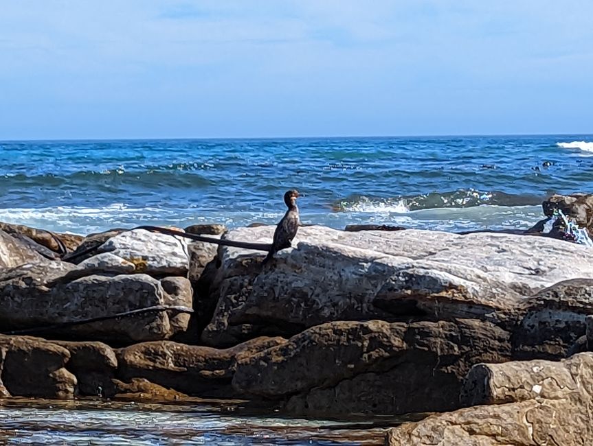 Cape Point Route 165 km