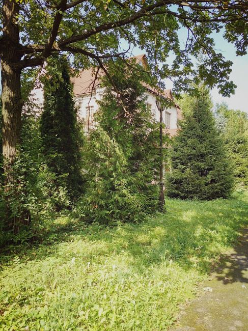 Hinter den dicken Baumen des Lianosowskij Park kauert Das Wassiljew-Museum
