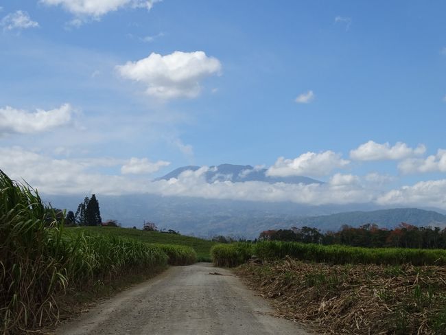Zuckerrohrplantagen und im Hintergrund der aktive Vulkan Turrialba