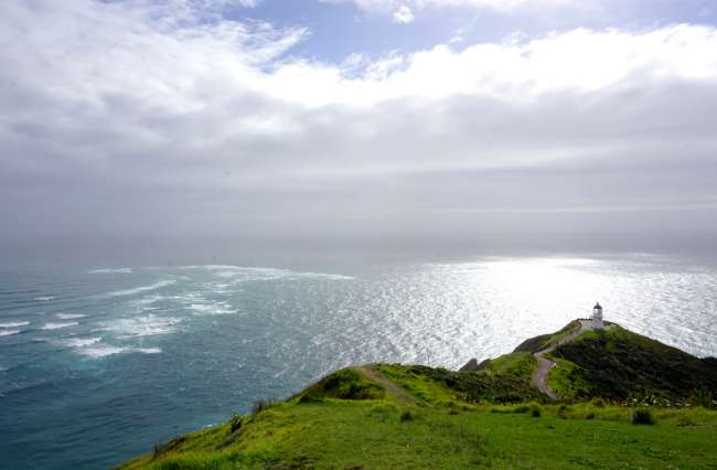 im Hintergrund sieht man den Zusammenprall des Pazifischen Ozeans und der Tasmansee 
