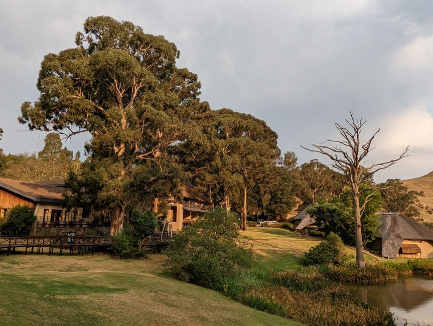 Gut in Johannesburg angekommen und direkt weiter zu den Drakensberg