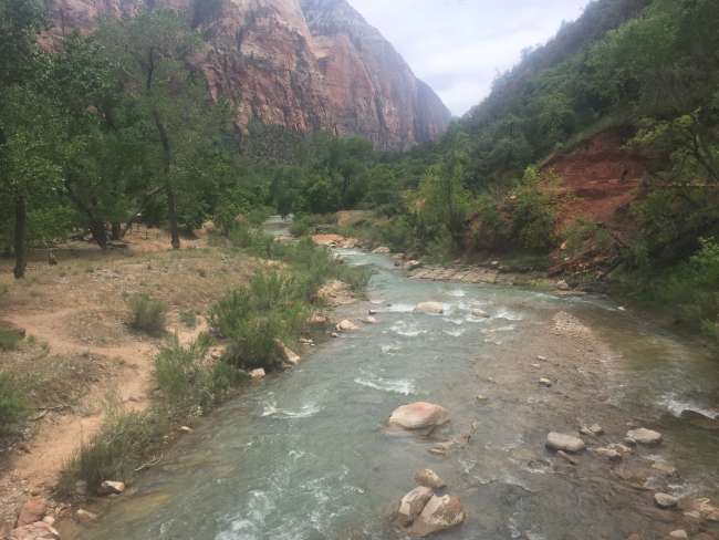 Day 9 - Zion National Park