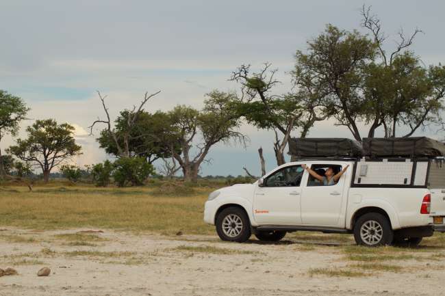 Deadtree Island, on one of our self-drive safaris