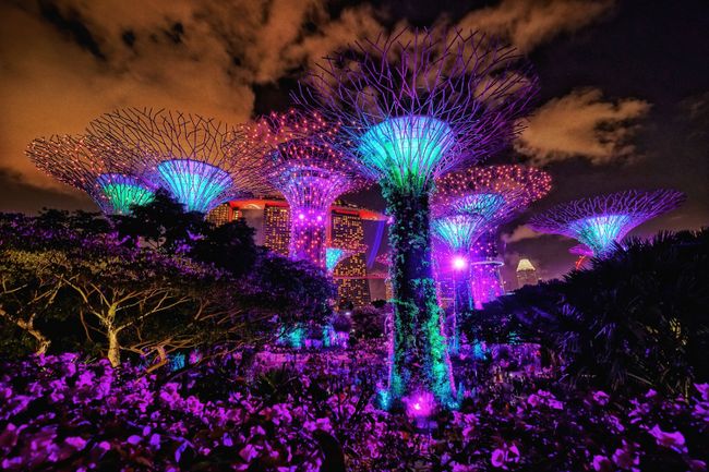 Die Giant Trees im Gardens by the bay 