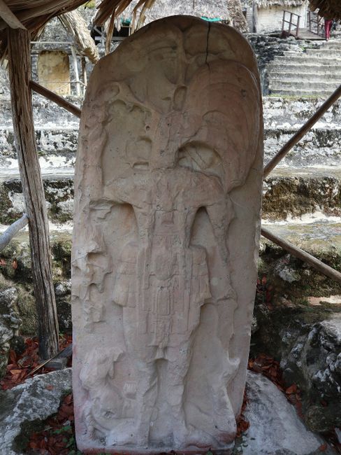 Tikal - Eine Maya-Ruine umgeben von Dschungel :O   (Tag 186 der Weltreise)