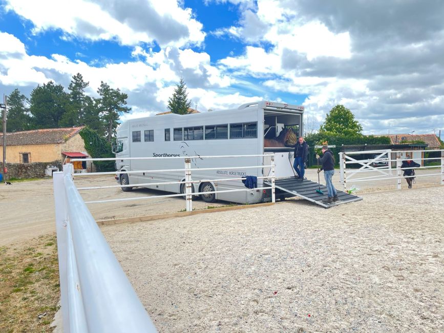The truck has a small living space inside and room for 9 horses, and the trailer behind it can accommodate 3 more horses.