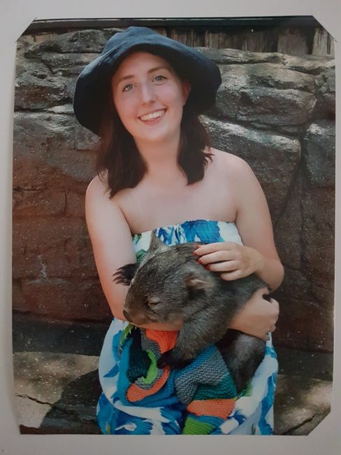 Erste Kangaroos und Wombat streicheln