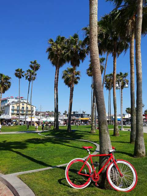 Venice beach with my bicycle