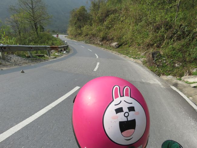 The bunny likes the winding roads