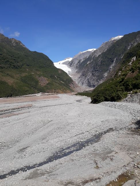 Wildfoods and Franz Josef