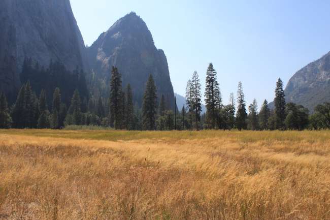 Day 14 - Yosemite