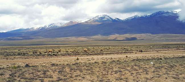 Sand desert in Huacachina