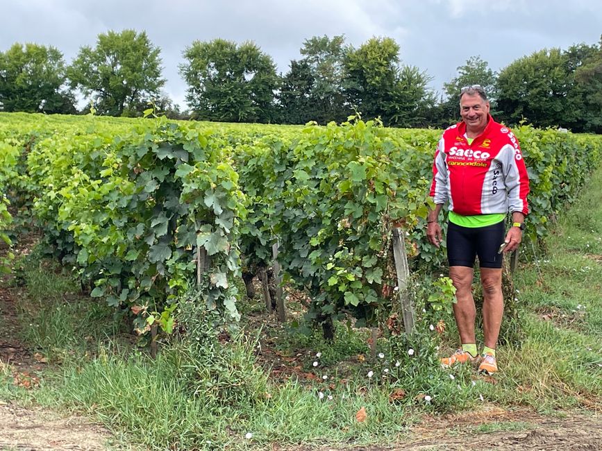 Through the vineyards from Bordeaux to Moustey, day 17