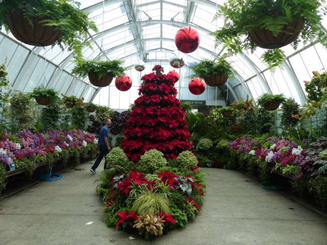 Weihnachtsdeko im Botanic Garden