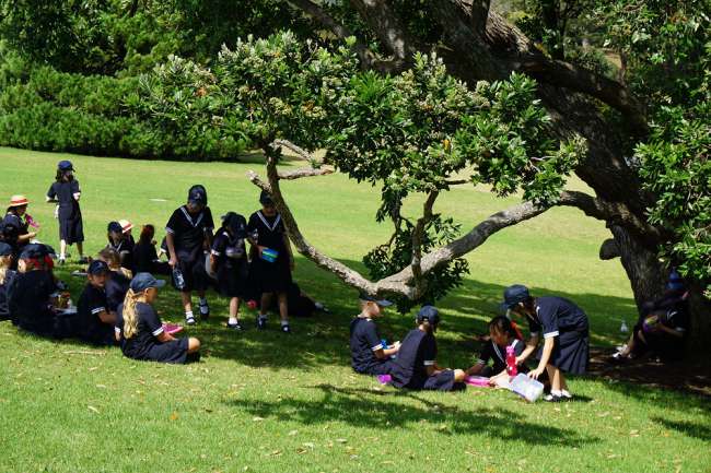 Schulkinder in Auckland