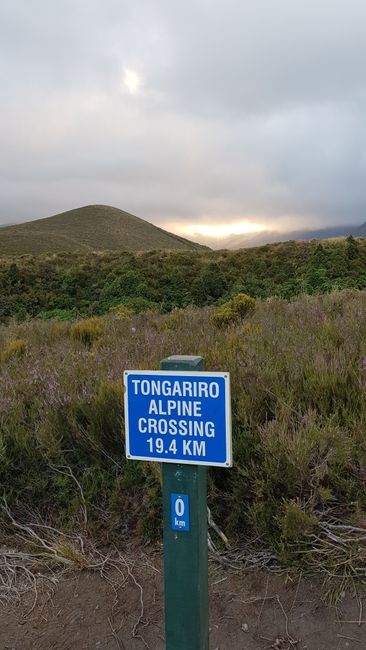 Day 12: Turangi (Tongariro Alpine Crossing) - Taumarunui