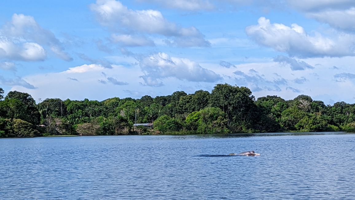 2. Día en la selva amazónica