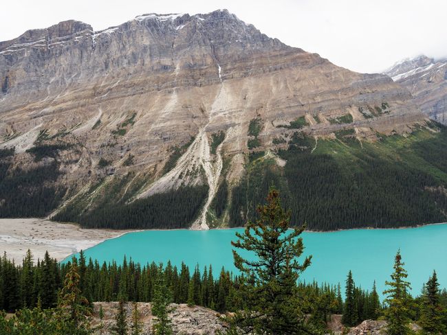The bright turquoise of Peyto Lake