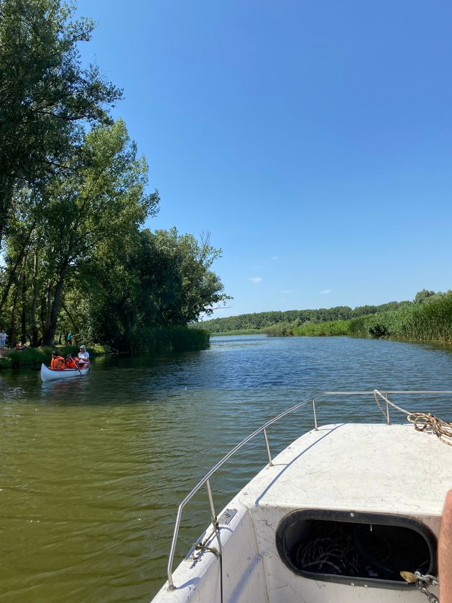 We explore the Tisza with the boat. 