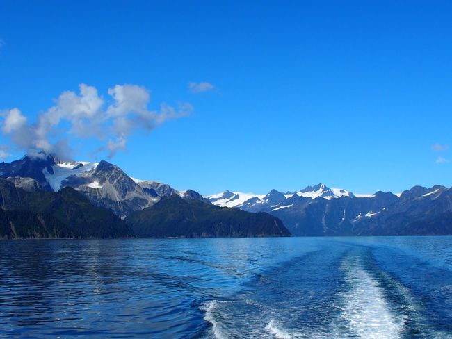 Kenai Fjords National Park - Bootstour mit grandiosen Ausblicken