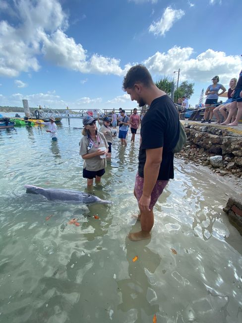 07&08|12|2019, Delfine füttern und ein neuer Job!