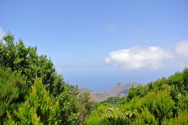 Tenerife 2.0