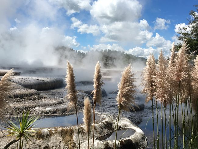 Huka Falls and geothermal zones on the way to Rotorua