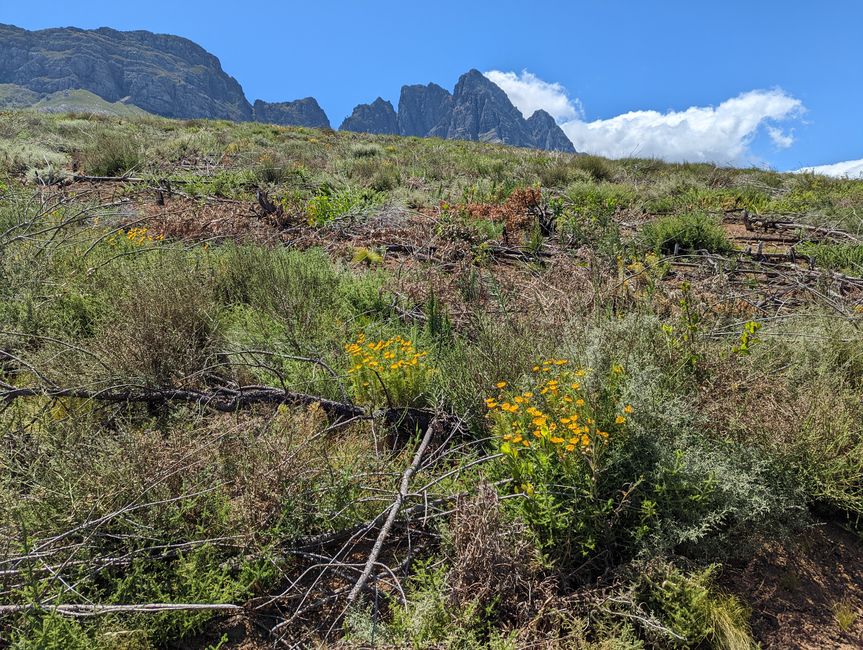 Biken im Jonkershoek Nature Reserve