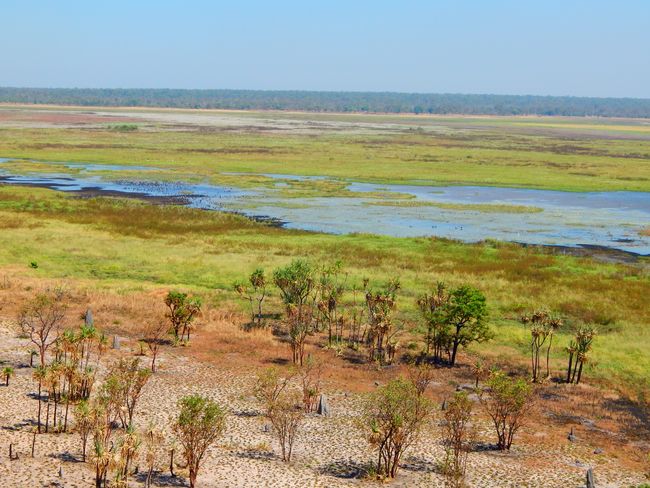 Kakadu NP - Wetlands