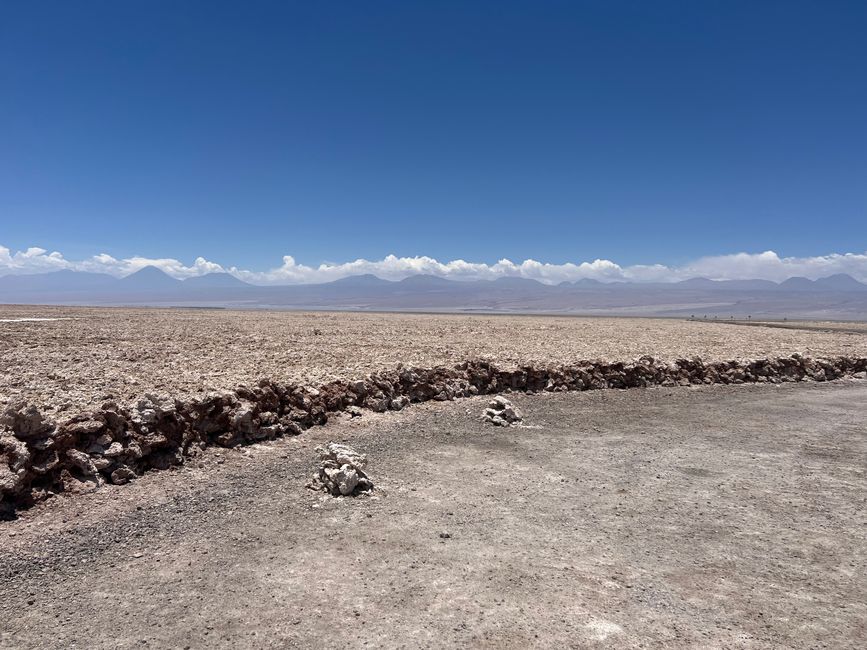 Salar de Atacama, Lagunes
30.01.2023