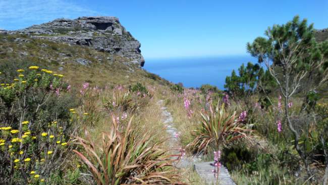 Tafelberg Wanderung 