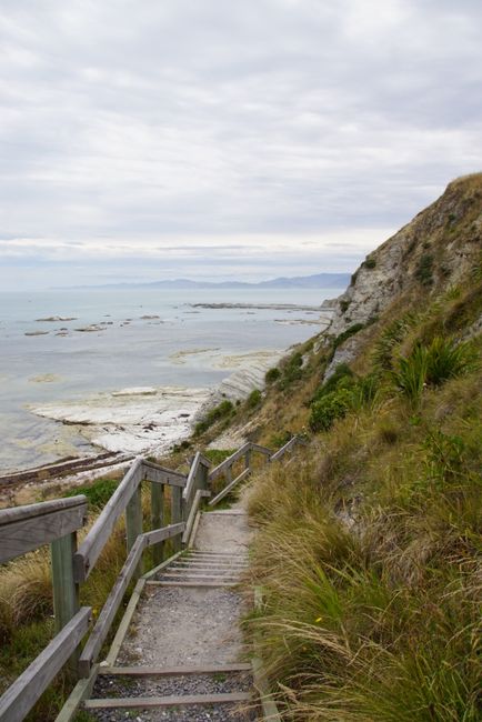 Kaikoura Peninsula Walkway