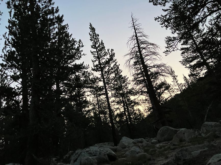 High Sierra Trail Tag 5