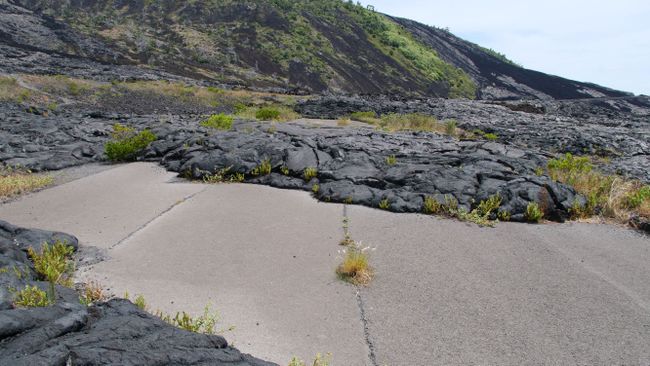 Volcanoes National Park - wurde aber von der Lava verschüttet
