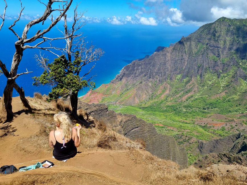 Hawaii 2022 - Teil 2: Kauai
