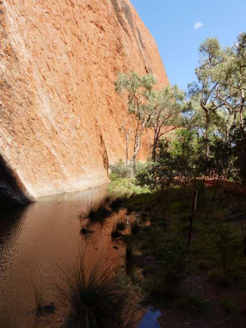 Wasserloch am Fuße des Uluru