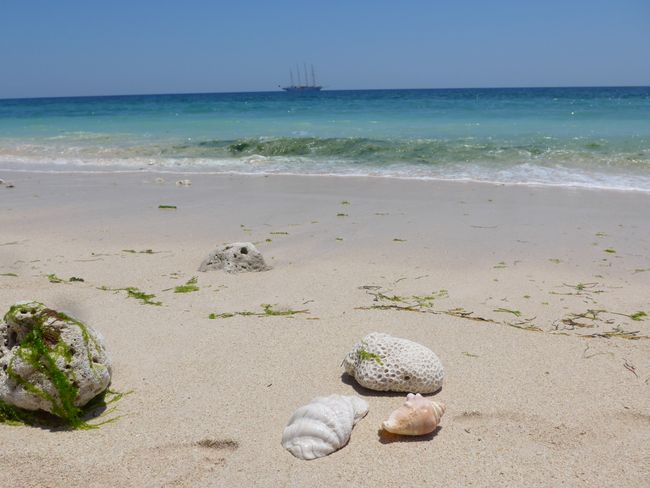 Sumba – Strandspaziergang auf der Insel der Kannibalen (Star Clipper Kreuzfahrt – Tag 4)