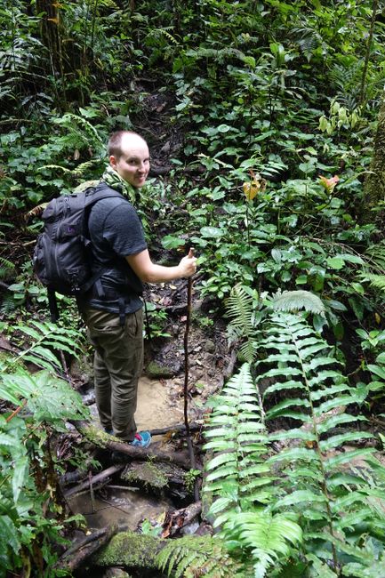 Day 210 - 214 Jungle Trekking
